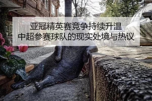 亚冠精英赛竞争持续升温 中超参赛球队的现实处境与热议（c7）